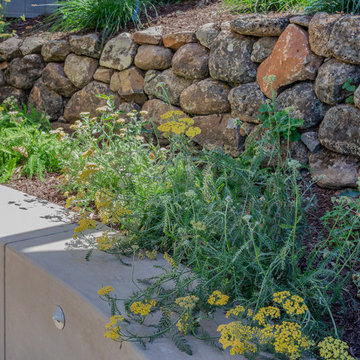 California native plants flank the custom curved concrete bench