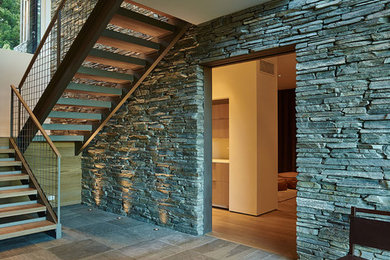 Inspiration for a large contemporary slate floor and gray floor entryway remodel in Other with white walls and a metal front door