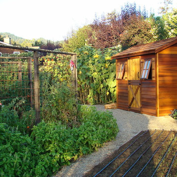 Vegetable gardens