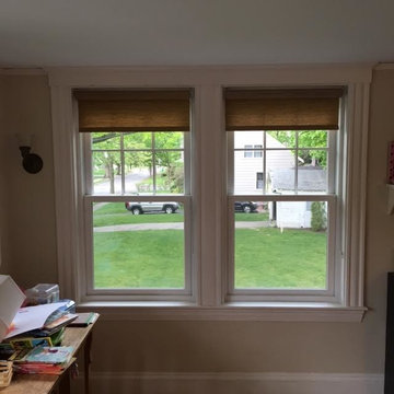 Renoviso - Windows