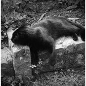 Codou Biram's photo
