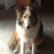 Cindy Robison's photo