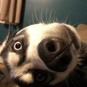 Julie DeFilippo's photo