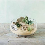 Claire Kim's photo
