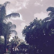Amina Bennani's photo