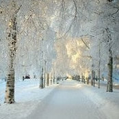 Cori Griffiths's photo