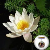 Susan Simko's photo