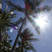 Patty Correia's photo