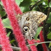 Michelle Regel's photo