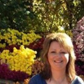 Lisa Tesina's photo