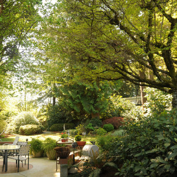 7 Eco-Friendly Landscape Design Tips
