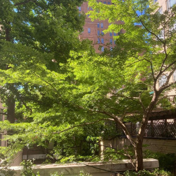 Manhattan Roof Garden