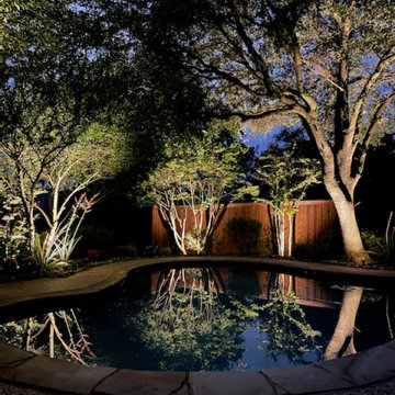 Pool Landscape Lighting