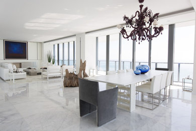 Design ideas for a modern dining room in Miami.