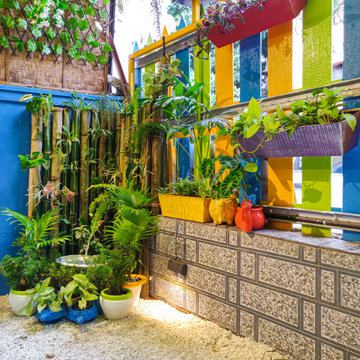 Colours to the Lush
