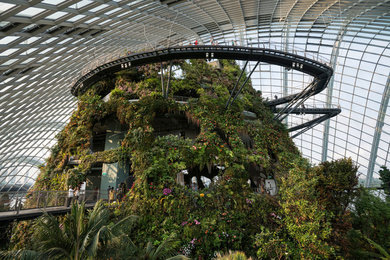 Cloud Forest Mountain, Gardens by the Bay