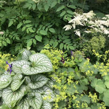 Garden for a historic Cambridge home