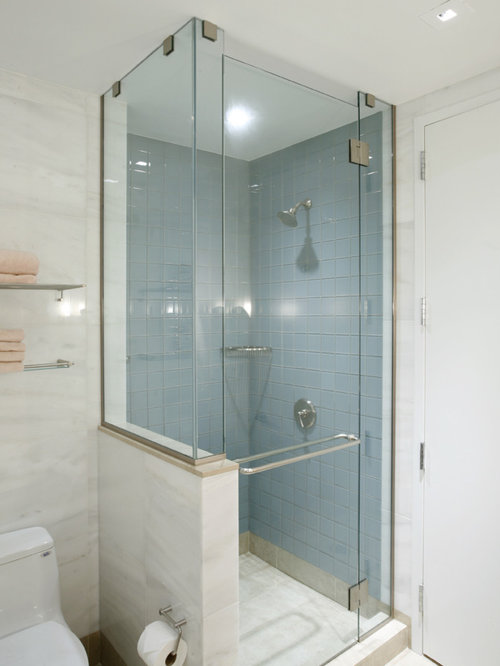 Best Shower Next To Toilet Design Ideas And Remodel Pictures Houzz