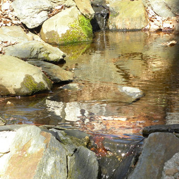 Wooding Hill