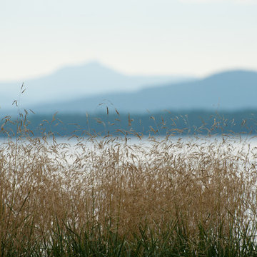 Essex Lakefront