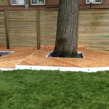 Enthralling Knotty Cedar