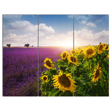 "Lavender and Sunflower Fields" Metal Art, 3 Panels, 36"x28"