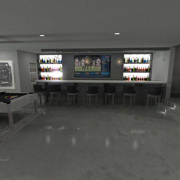 Polished Contemporary Lower Level