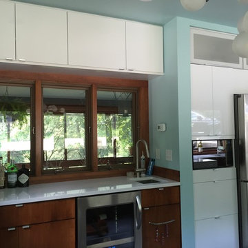 Midcentury modern kitchen remodel