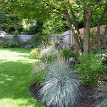 back yard landscaping