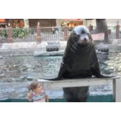 Darlene Arseneau's photo