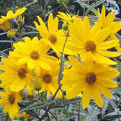 Carolyn Schultz's photo