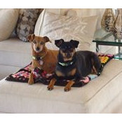 Jan Pauly's photo