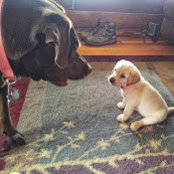Kate Barness's photo