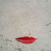 Claudia Amberti's photo