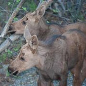 Eric Waterman's photo