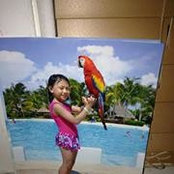 Phong Hy's photo