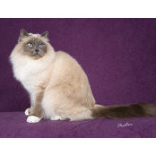 Cheryl Riley's photo