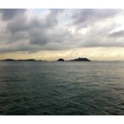 Foto von Addrick Poh