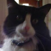 Katrina Krug's photo