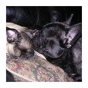 Eva Wayne's photo