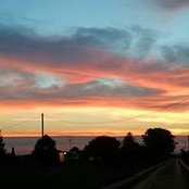 Nicole Stelzer's photo