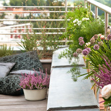 wall planters