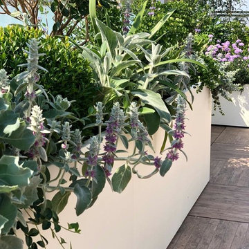 Terrazzo vista mare