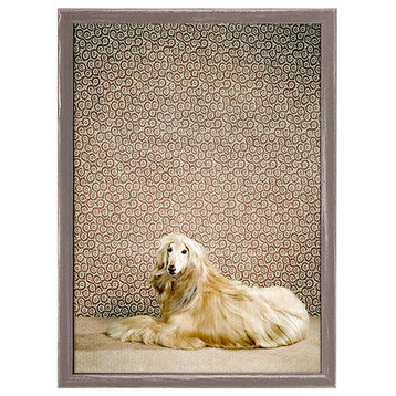 "Dog Collection, Afghan Hound" Mini Framed Canvas by Catherine Ledner