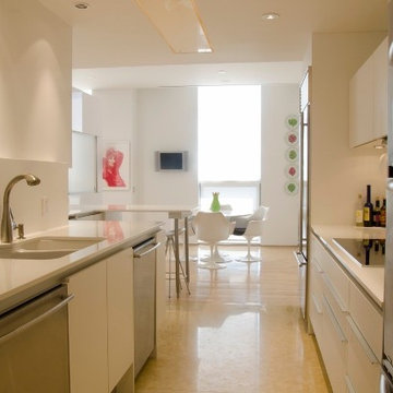 Galleria, high-rise Poggenpohl kitchen renovation in the Four Leaf Towers