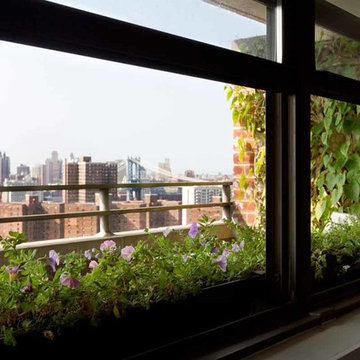 Lower Eastside Apartment