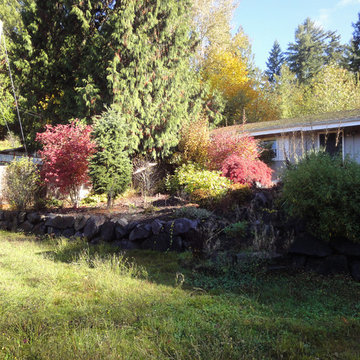 Mid Century Modern in Sammamish, WA