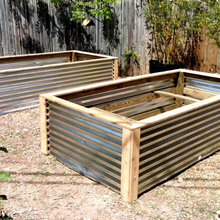 Outdoor Veggie Garden