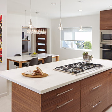 Santa Monica Contemporary Remodel