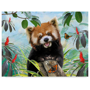 "Red Panda" by Howard Robinson, Canvas Art